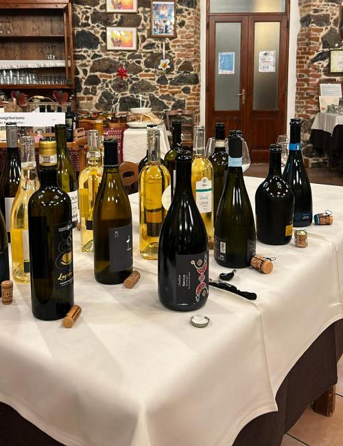 Bottles of wine on a farm table in Oristano