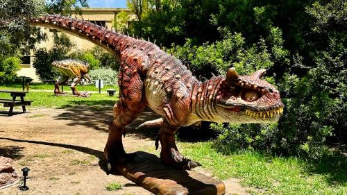 Dinosauro della mostra Alguerex