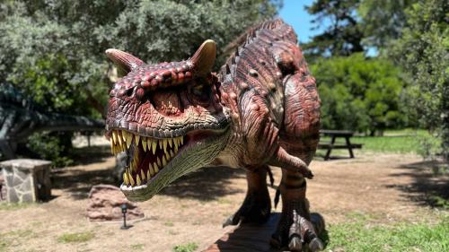 Gros plan sur un dinosaure de l'exposition Alguerex dans le parc de Porto Conte