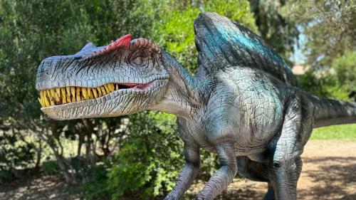Nahaufnahme eines Dinosauriers aus der Alguerex-Ausstellung in der Casa Gioiosa