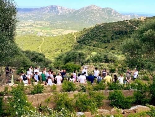 Travelers in the myrtle field with views of the sea and Olbia mountains
