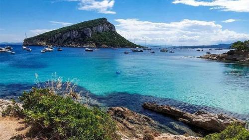 Spiaggia di Cala Moresca con vista sull'isola di Figarolo