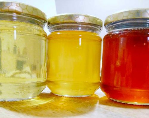 Verschiedene Honigsorten aus dem Betrieb