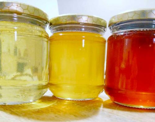 Différents types de miel produits par l'exploitation