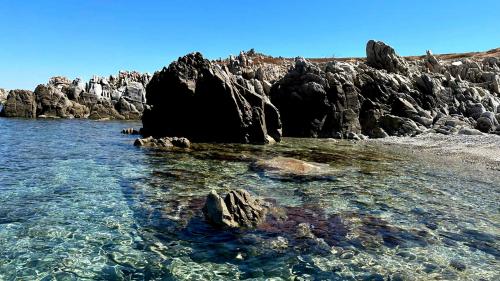 Felsen auf der Insel Mal di Ventre und kristallklares Wasser