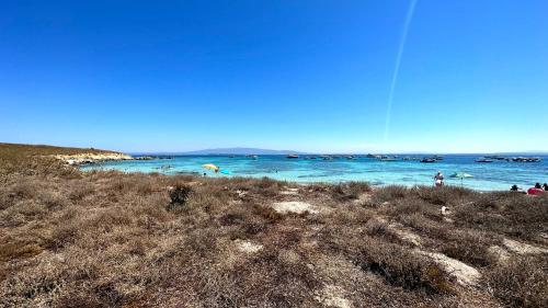 Blick auf einen Strand in Mal di Ventre