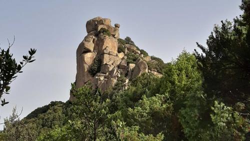 Vue des rochers de granit dans le parc des Sept Frères