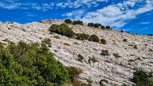 Blick auf den Gipfel des Montalbo