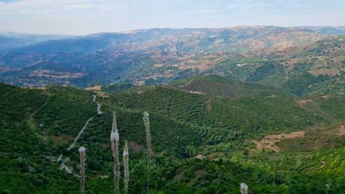 Panorama vom Montalbo