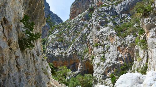 Murs à l'intérieur du canyon de Gorropu