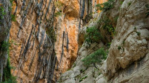 Dettaglio delle pareti all'interno della gola di Gorropu