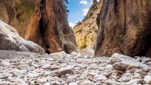 Rock pavement inside the canyon of Gorropu