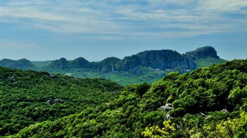 Lush landscape with rocks that will be seen during the Blue Zone tour