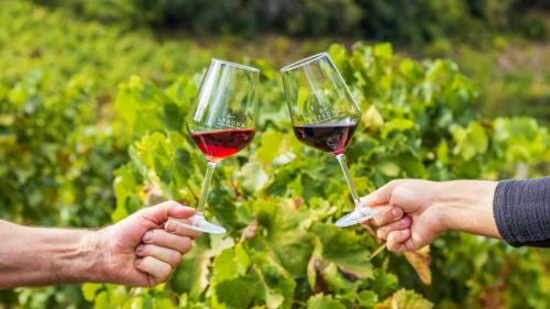 Degustación de vinos durante la visita a la Zona Azul