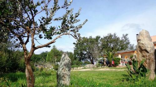 Giardino di un agriturismo nell'Ogliastra