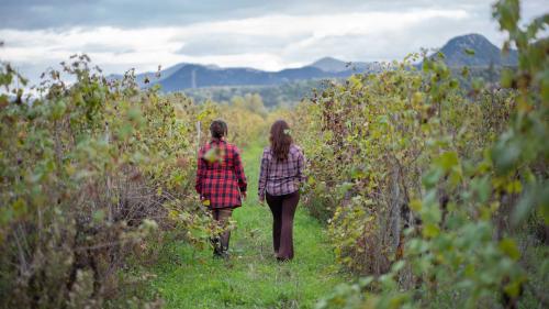 Zwei Mädchen spazieren zwischen den Reihen eines Weinbergs auf einem Weingut