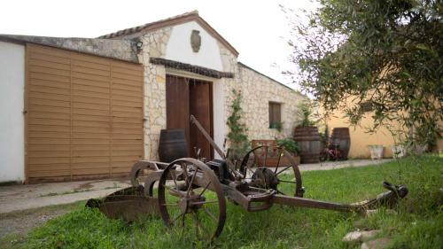 Entrada al sótano y una vieja herramienta