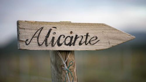 Schild im Weinberg einer Weinkellerei in der Region Iglesias