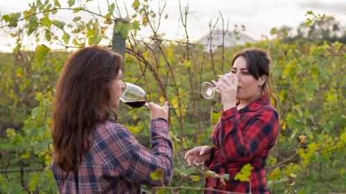 Two girls sip wine between the rows of vines