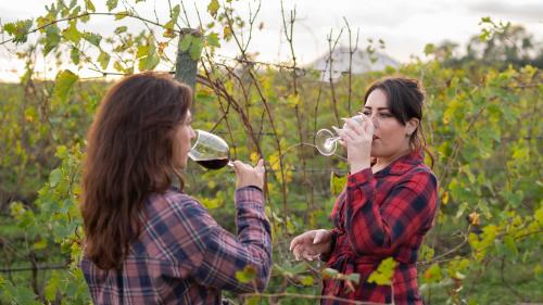 Zwei Mädchen schlürfen Wein zwischen den Rebstöcken