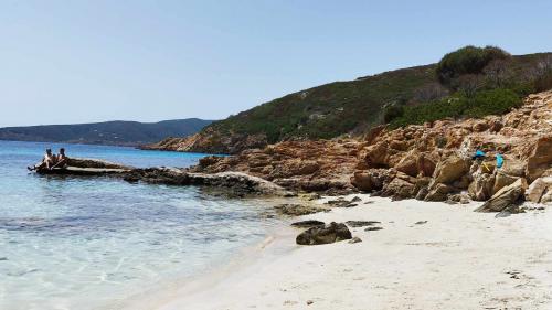 Cala Sabina beach with blue water and clear sand on the island of Asinara