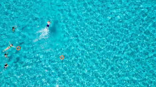 Wanderer schwimmen im blauen Meer von Asinara
