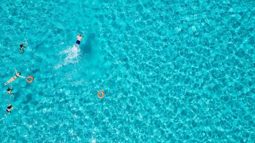 Excursionistas nadan en el mar azul de Asinara