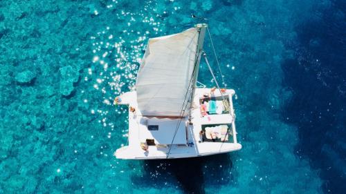 Catamaran view from above in the blue water of Porto Conte