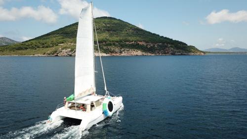 Catamaran sails off the coast of Alghero