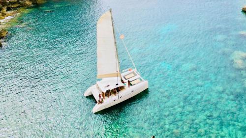Le catamaran navigue dans les eaux azurées de Porto Conte
