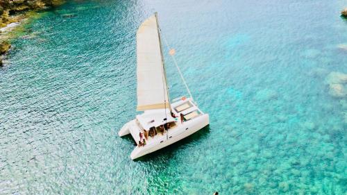 El catamarán navega por las azules aguas de Porto Conte