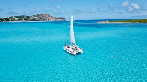 Catamaran stop in the crystal clear sea of La Pelosa in Stintino