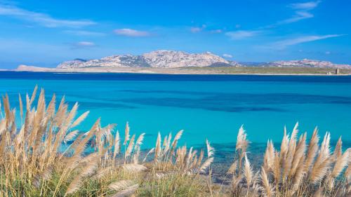 Blick von Stintino auf die Insel Piana und die Insel Asinara