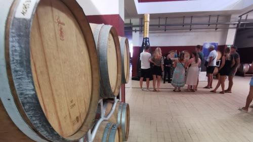 Visit to a winery in the territory of Alghero
