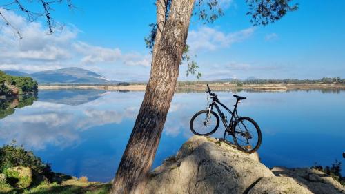 Fahrrad auf einem Felsen vor dem Calich-Teich in Alghero