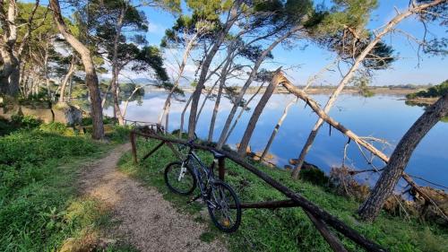 Sosta nella natura tra i pini presso lo stagno del Calich durante un'escursione in mountain bike nella zona di Alghero