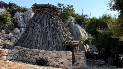 Coile of a Sardinian shepherd stage of the buggy excursion to Punta Salinas