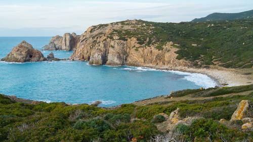 View of Cape Sheep in the Costa Verde