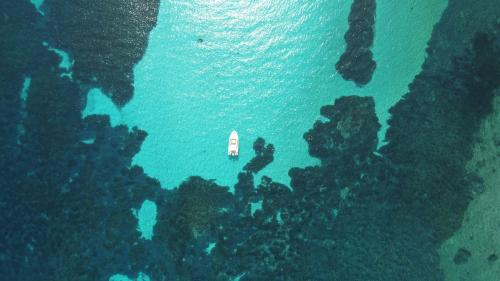 Lancha neumática desde arriba en las aguas del Golfo de Asinara