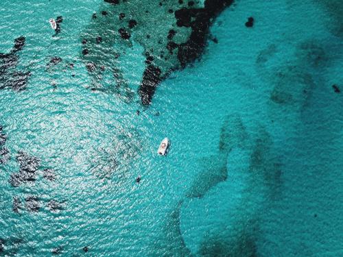 Gommone nel mare cristallino del Golfo dell'Asinara