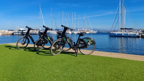 Details on electric bikes for rent from the Marina di Calasetta