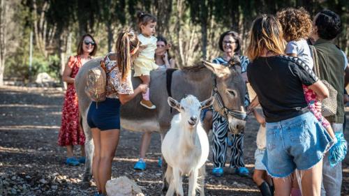 Bambini e genitori si divertono insieme agli animali del rifugio ad Olmedo