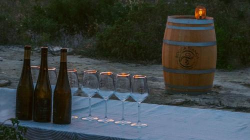 Weinflaschen und Gläser zur Verkostung in einer Weinkellerei im Norden Sardiniens