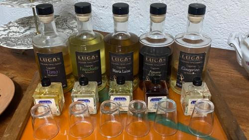 Liquori tipici sardi prodotti in un'azienda a Laconi con le erbe aromatiche come timo, elicriso, mirto e ginepro
