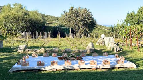 Tablecloth and picnic baskets at a winery with animals in Gallura