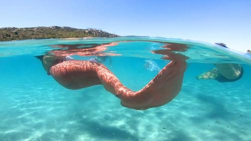 Un touriste nage avec une queue de sirène dans la mer du golfe de Cagliari