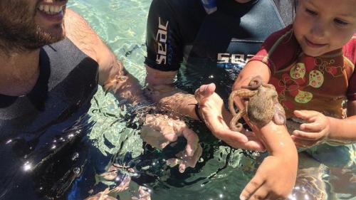 Niño con un pulpo en la mano en las aguas cristalinas de Cala Gonone