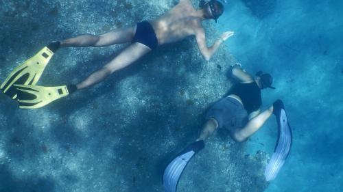Dos personas practican snorkel en los fondos rocosos del Golfo de Orosei