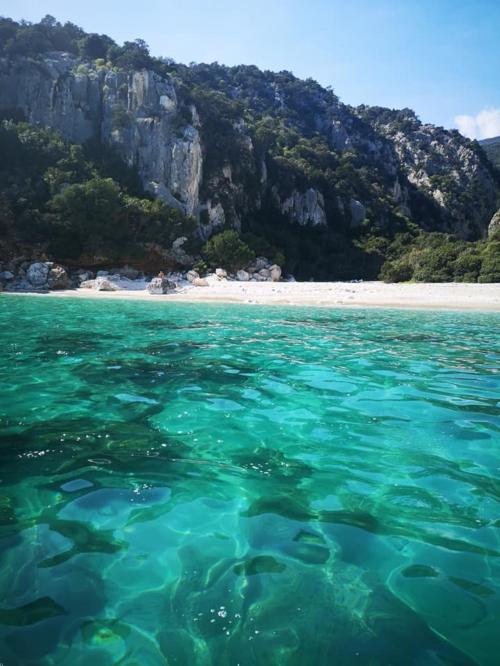 Mare turchese in cui fare snorkeling nel Golfo di Orosei