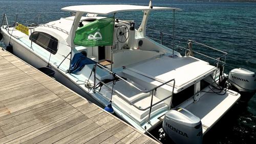 Catamarano ormeggiato nel porto a Stintino nel nord-ovest della Sardegna